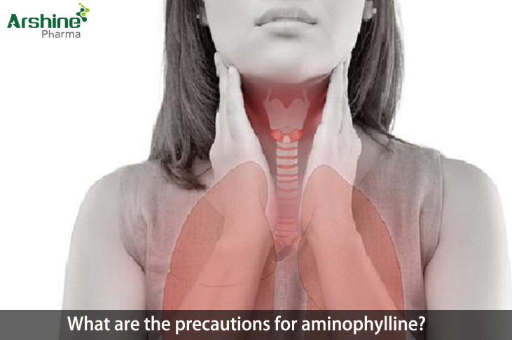 what is aminophylline