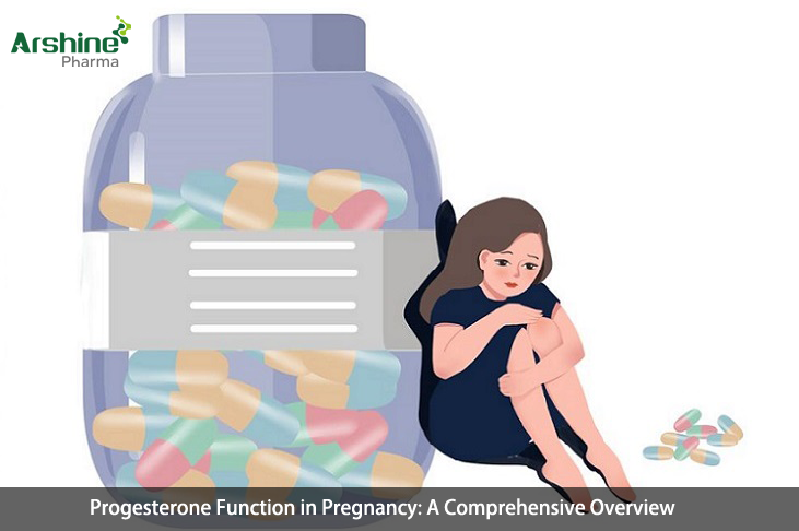 Functions of Progesterone