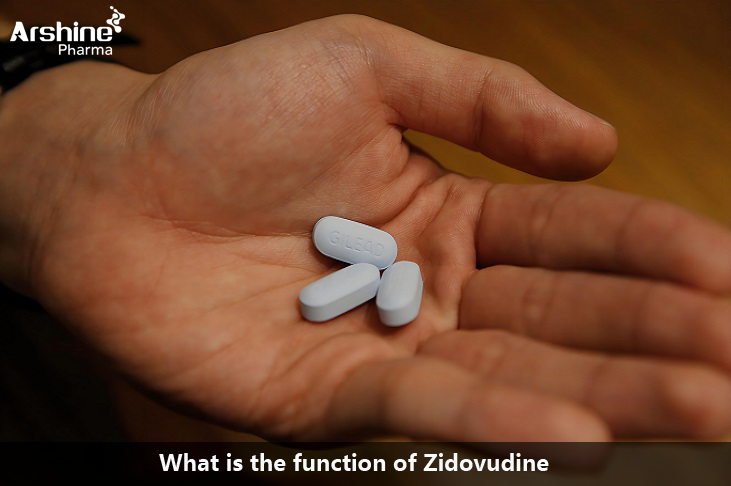 What is the function of Zidovudine
