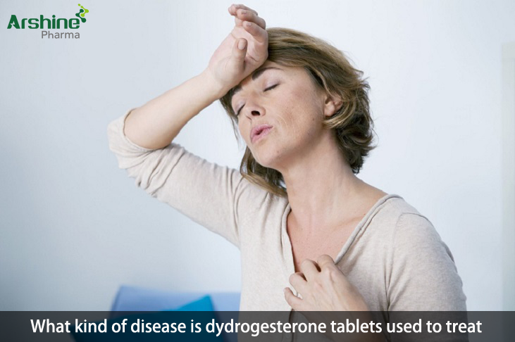 Ddydrogesterone tablets