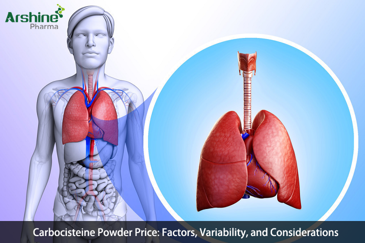 Carbocisteine Powder Price